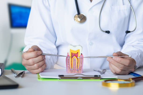 Best Emergency Dental Services for Seniors in Bellwood, IL